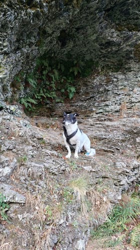 Frau Holle (Premiumwanderweg)