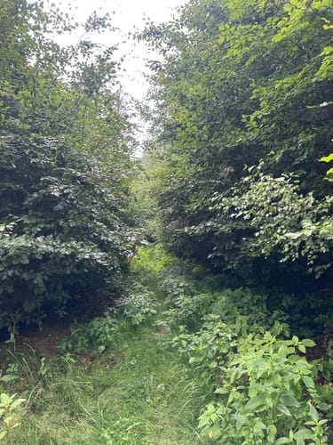 Via Porphyria Etappe 7: Von Lunzenau bis Claußnitz