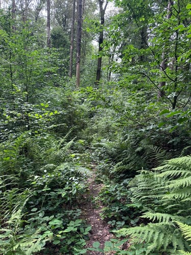 Via Porphyria Etappe 7: Von Lunzenau bis Claußnitz