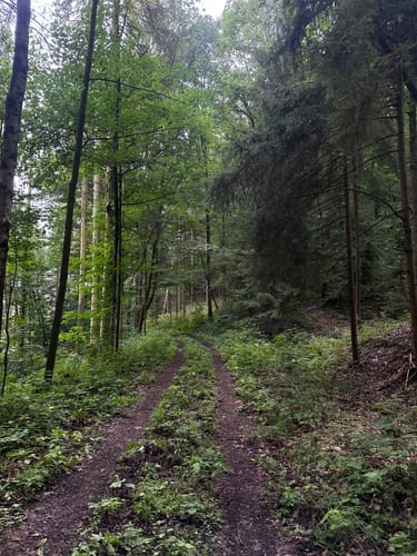 Via Porphyria Etappe 7: Von Lunzenau bis Claußnitz