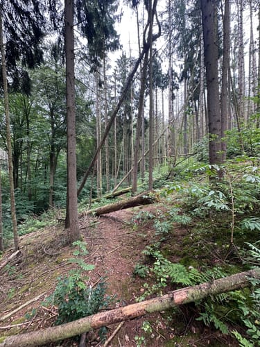 Via Porphyria Etappe 7: Von Lunzenau bis Claußnitz