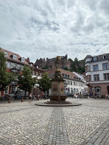 Stadtwanderung: Altstadt, Schloss, Philosophenweg