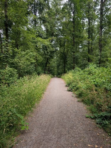 Feuerbacher Höhenweg