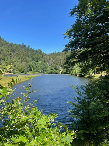 Kälbelescheuer-Nonnenmattweiher