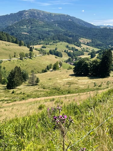 Kälbelescheuer-Nonnenmattweiher