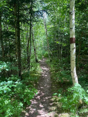 Kälbelescheuer-Nonnenmattweiher