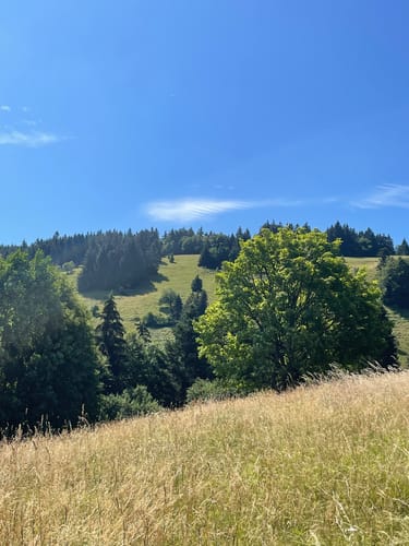 Kälbelescheuer-Nonnenmattweiher