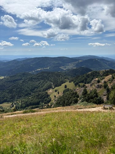 Belchensteig (Genießerpfad)