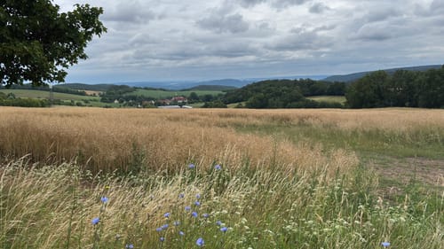 Groschwitz Rundwanderweg 4
