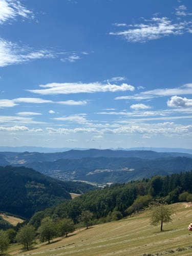 Harmersbacher Vesperweg (Genießerpfad)