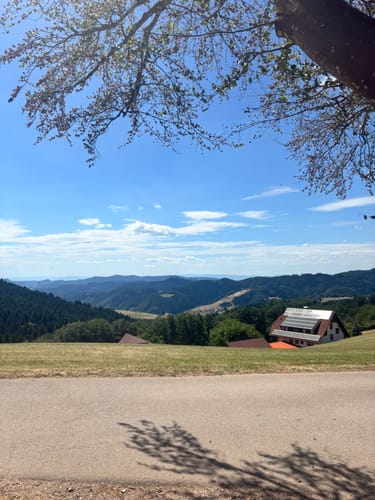 Harmersbacher Vesperweg (Genießerpfad)