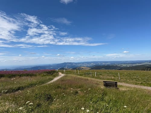 Feldbergsteig - Alpiner Pfad
