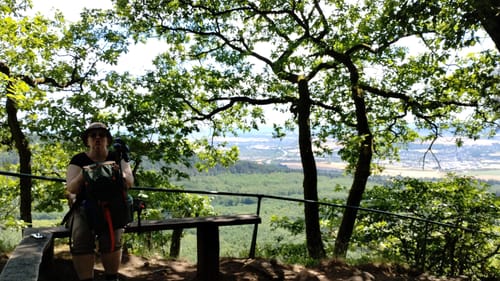 Laacher See - Krufter Waldsee