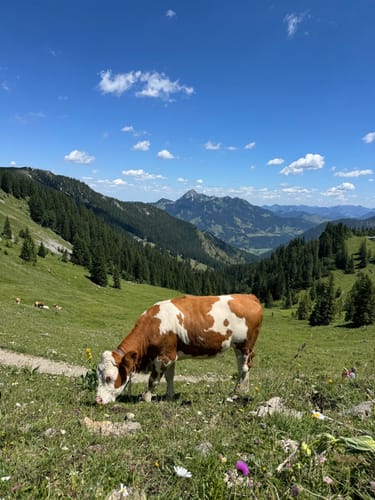 Spitzingsee - Taubenstein - Rotwandhaus