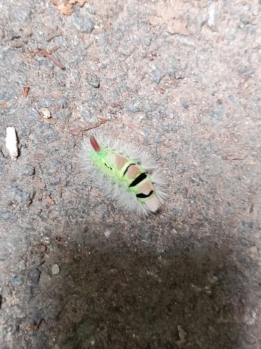Aachener Wald zu den Quellen der Wurm