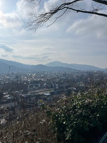 Schlossberg Runde Freiburg