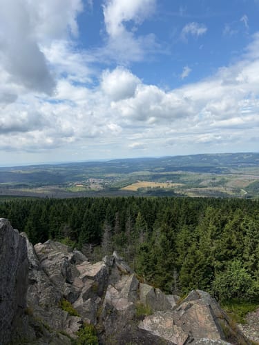 Oderteich - Wolfswarte - Torfhaus