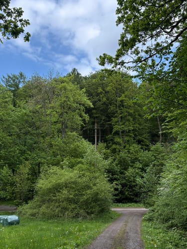 Welliehausen - Grüner Altar-Teufelskanzel Rundweg