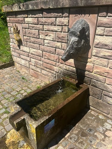 Wanderrunde Karlsbrunn