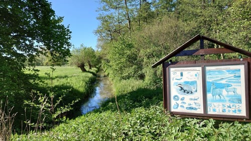 Rund um Meerbusch