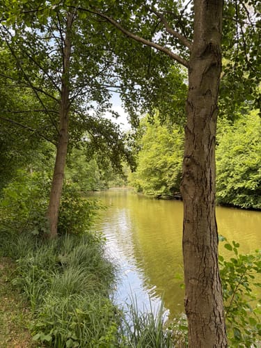 Schlosspark Monrepos