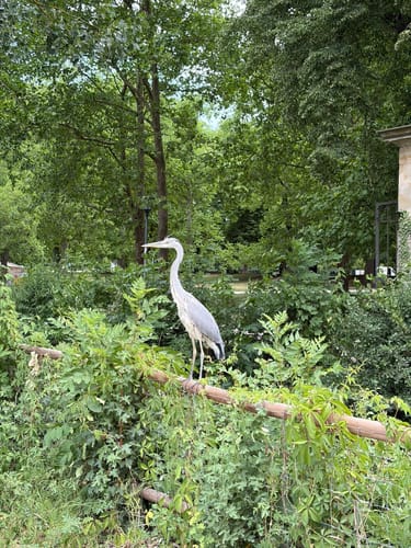 Schlosspark Monrepos