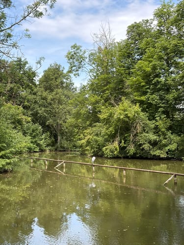 Schlosspark Monrepos