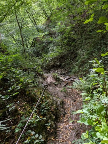 Dortebachtal