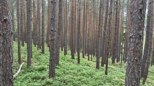 Groschwitz Rundwanderweg 4