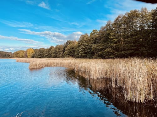 Rundwanderweg Riebener See