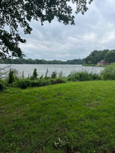 Fauler See