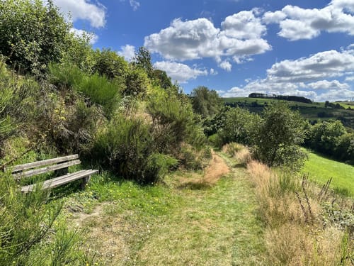 Rothaarsteig-Spur Wisentpfad