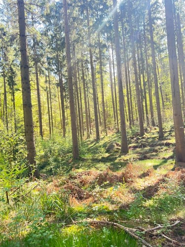 Rund um den Lütjensee