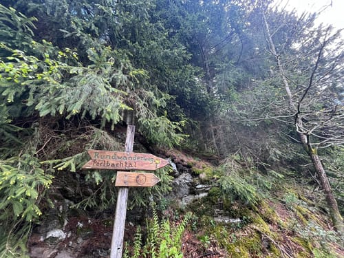 Höfen - Narzissenweg