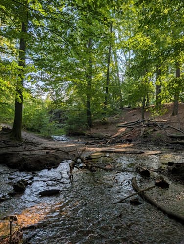 Donoper Teiche im Teutoburger Wald
