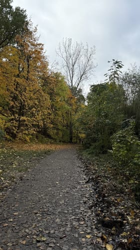 Havelhöhenweg