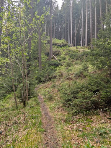 Um die Falkenstein Talsperre