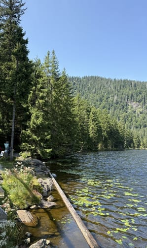 Großer Arbersee Rundweg
