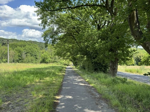 Fasanerieweg ab Tier- und Pflanzenpark Fasanerie Wiesbaden