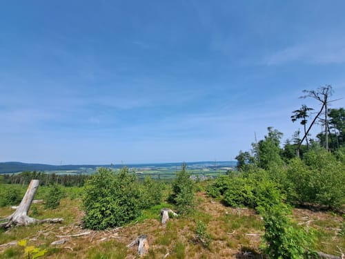 Römerrunde