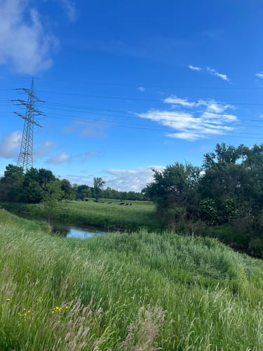 Bad Vilbel: Wanderweg 4