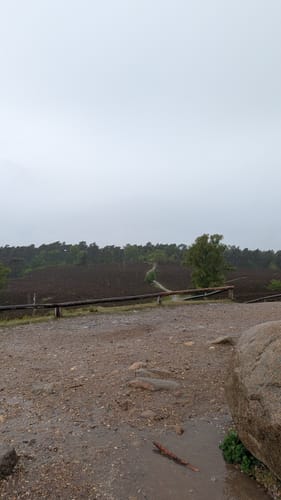 Heidschnuckenweg Etappe 2: Buchholz in der Nordheide - Handeloh