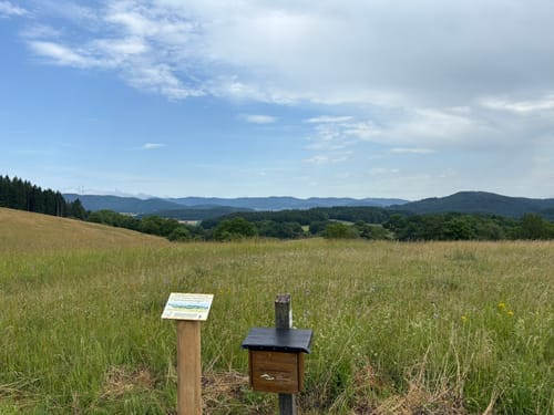 Steinperfer Runde (Extratour)