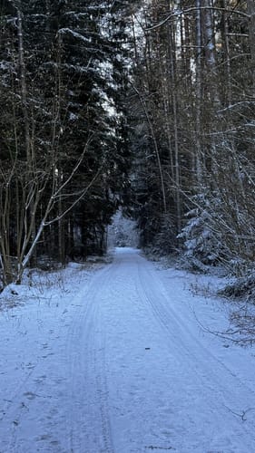 Rußweiher Rundweg