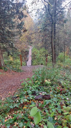 Erlebnispfad WeltWald Harz
