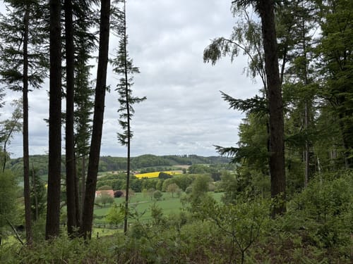 Bad Iburg und Lienenerberg Rundweg im Teutoburger Wald