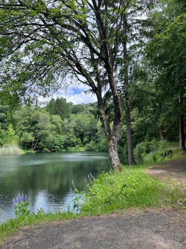 Buchoniarundweg ab Wüstensachsen (Rhön)