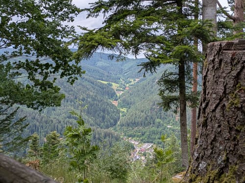 Auf Felsenwegen von Hornberg zu den Schlossfelsen