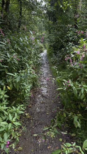 Bergerhof Rundweg A5