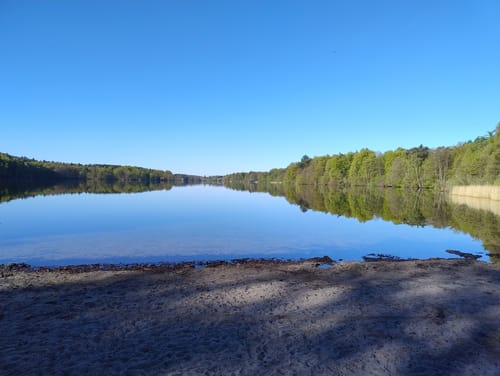 Rund um den Großensee